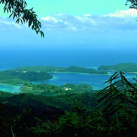 Bamboo Beach Resort Puerto Galera Kültér fotó