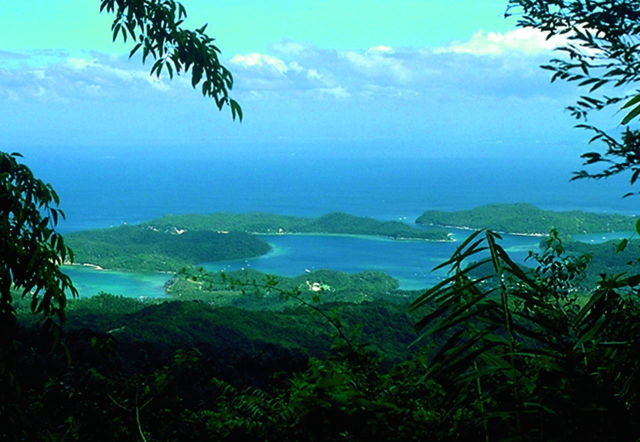 Bamboo Beach Resort Puerto Galera Kültér fotó
